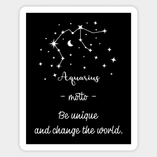 Key phrases of the zodiac signs: Aquarius Magnet